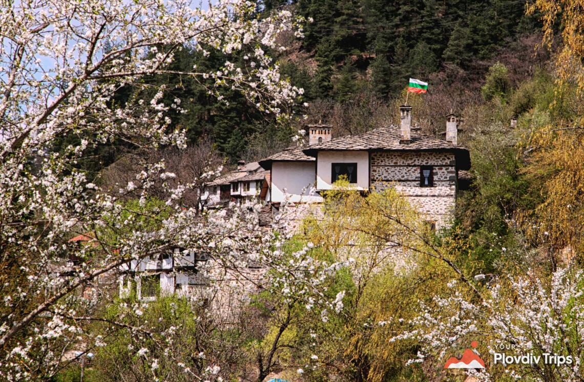 Wonderful Bridges & Trigrad Gorge Day Tour from Plovdiv – photo 11